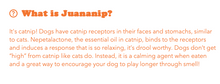Load image into Gallery viewer, Doggijuana - Tuffer Chewer Pickle