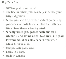 Load image into Gallery viewer, Fog Farms Grow@Home - Wheat Grass Kit (Seeds with Soil)