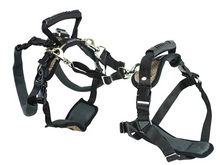 Load image into Gallery viewer, PetSafe Care Lift Support Harness