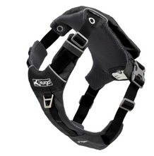 Load image into Gallery viewer, Kurgo Stash N Dash - Black