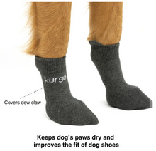 Load image into Gallery viewer, Kurgo Blaze Dog Socks Grey Set Of 4