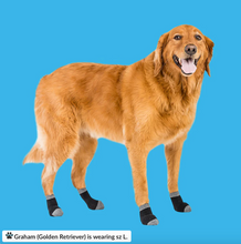 Load image into Gallery viewer, Walkee Paws™ - Liner Socks for dogs/Chaussettes doublées pour les chiens (4pk)