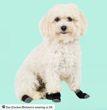 Load image into Gallery viewer, Walkee Paws™ - Liner Socks for dogs/Chaussettes doublées pour les chiens (4pk)