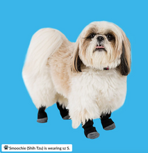 Load image into Gallery viewer, Walkee Paws™ - Liner Socks for dogs/Chaussettes doublées pour les chiens (4pk)