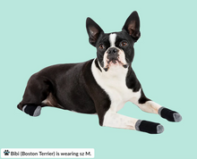 Load image into Gallery viewer, Walkee Paws™ - Liner Socks for dogs/Chaussettes doublées pour les chiens (4pk)