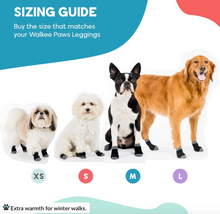 Load image into Gallery viewer, Walkee Paws™ - Liner Socks for dogs/Chaussettes doublées pour les chiens (4pk)