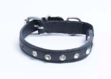 Load image into Gallery viewer, Angel Athens Cat Collar with Rhinestones 10&quot; X 1/2&quot;
