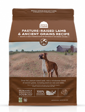 Charger l'image dans la galerie, Open Farm Dry Dog Food with Ancient Grains