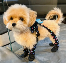 Load image into Gallery viewer, Walkee Paws™ - Leggings for dogs/leggings pour chiens