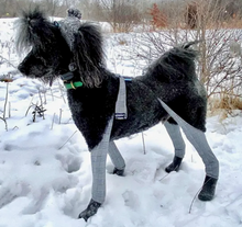 Load image into Gallery viewer, Walkee Paws™ - Deluxe Dog Boot Leggings/Leggings pour chien de luxe