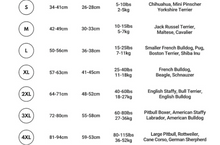 Load image into Gallery viewer, Spark Paws - Cyber Punk Dog Hoodie/Sweat à capuche Cyberpunk pour chien