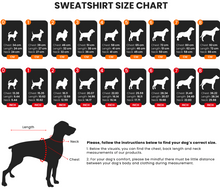 Load image into Gallery viewer, LindoDogs - Jurassic Dog/Chien du Jurassique