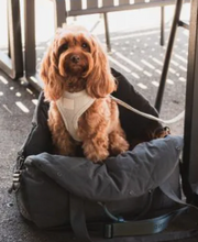 Load image into Gallery viewer, FuzzYard Life™ Multipurpose Carrier & Car Seat - Slate Grey/Sac et siège auto polyvalent - Gris ardoise