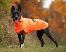 Load image into Gallery viewer, Chilly Dogs - Northern Blazer in high-visibility Blaze Orange
