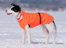 Load image into Gallery viewer, Chilly Dogs - Northern Blazer in high-visibility Blaze Orange