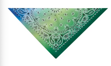 Load image into Gallery viewer, Aria® - Paisley Bandanas/Bandanas Cachemire