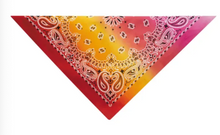 Load image into Gallery viewer, Aria® - Paisley Bandanas/Bandanas Cachemire