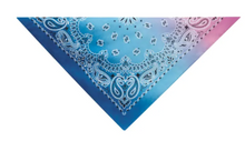 Load image into Gallery viewer, Aria® - Paisley Bandanas/Bandanas Cachemire