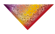 Load image into Gallery viewer, Aria® - Paisley Bandanas/Bandanas Cachemire