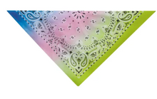 Load image into Gallery viewer, Aria® - Paisley Bandanas/Bandanas Cachemire