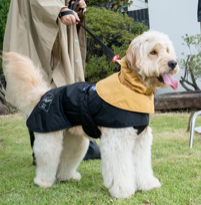 Load image into Gallery viewer, Puppy Gallery® - All Weather Water Shield Poncho - Dog Rain Suit/Poncho imperméable toutes saisons - Combinaison de pluie pour chien