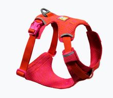 Load image into Gallery viewer, RUFFWEAR® Front Range™ Flex - Harness/Harnais (Copy)