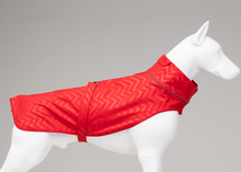 Charger l'image dans la galerie, LINDODOGS - SoftShell Raincoat