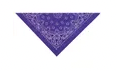 Charger l'image dans la galerie, Top Performance® - Paisley Bandanas/Bandanas Cachemire
