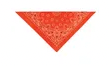 Charger l'image dans la galerie, Top Performance® - Paisley Bandanas/Bandanas Cachemire