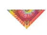Charger l'image dans la galerie, Top Performance® - Paisley Bandanas/Bandanas Cachemire