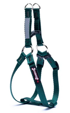 Load image into Gallery viewer, Smoochy Poochy - 5/8" Step In Harness/Harnais à enfiler