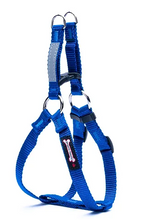 Load image into Gallery viewer, Smoochy Poochy - 5/8" Step In Harness/Harnais à enfiler
