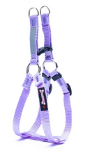 Load image into Gallery viewer, Smoochy Poochy - 5/8" Step In Harness/Harnais à enfiler