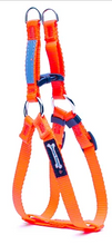 Load image into Gallery viewer, Smoochy Poochy - 5/8" Step In Harness/Harnais à enfiler