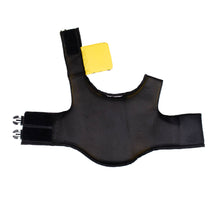 Load image into Gallery viewer, Body Glove - Ripstop Pet Life Jacket/Gilet de sauvetage pour animaux en tissu ripstop