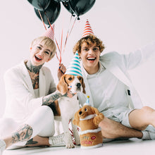 Load image into Gallery viewer, Fuzzwoof - Singing and Dancing Birthday Cake Dog Toy/Jouet pour chien gâteau d'anniversaire chantant et dansant