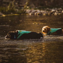 Load image into Gallery viewer, Body Glove - Neoprene Pet Life Jacket/Gilet de sauvetage en néoprène pour animaux de compagnie