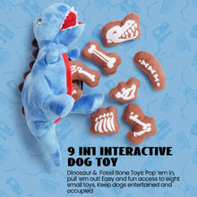 Load image into Gallery viewer, Nocciola - Dinosaur/Dinosaure