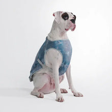 Load image into Gallery viewer, Chilltech™ Cooling Vest/Gilet rafraîchissant