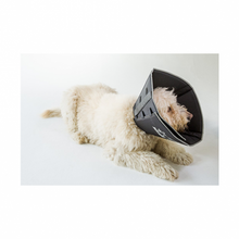 Load image into Gallery viewer, The Comfy Cone®