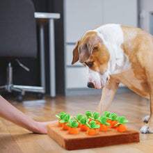 Load image into Gallery viewer, Nocciola - Food Dispensing Carrot Farm Enrichment Toy/Jouet d'enrichissement « Ferme de carottes distributeur de nourriture »
