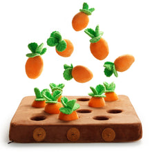 Load image into Gallery viewer, Nocciola - Food Dispensing Carrot Farm Enrichment Toy/Jouet d'enrichissement « Ferme de carottes distributeur de nourriture »