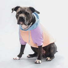 Load image into Gallery viewer, Spark Paws - Cotton Candy Dog Hoodie/Sweat à capuche barbe à papa pour chien