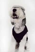 Load image into Gallery viewer, Midlee - Salt & Pepper Dog Costume/Costume de chien sel et poivre