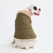 Load image into Gallery viewer, Spark Paws® Workdog Insulated Utility Jacket/Veste utilitaire isolée - Green/Vert