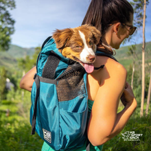 Load image into Gallery viewer, Trainer | Puppy & Small Dog Carrier