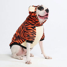 Load image into Gallery viewer, Spark Paws - Tiger/Tigre