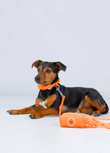 Load image into Gallery viewer, Poop Bag Holder - Orange