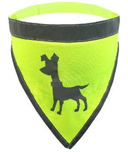 Load image into Gallery viewer, Alcott® - Visibility  Dog Bandana/Visibilité Bandana pour chien