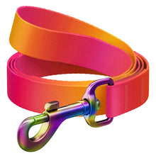 Charger l'image dans la galerie, WAUDOG Recycled Nylon Leash